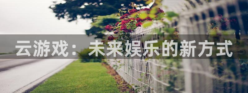 杏悦平台可靠吗：云游戏：未来娱乐的新方式