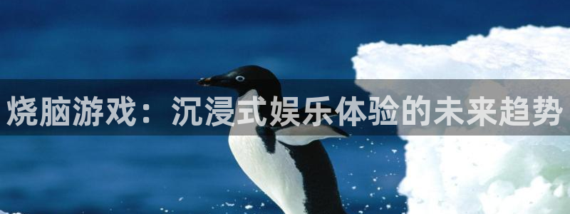杏悦娱乐注册地址查询官网电话：烧脑游戏：沉浸式娱乐体验的未来