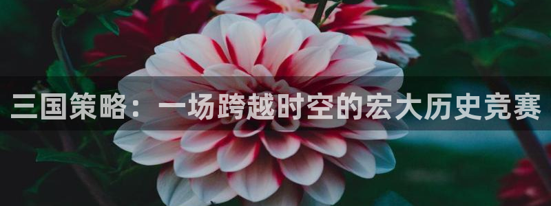 杏悦脆皮烤鸭：三国策略：一场跨越时空的宏大历史竞赛