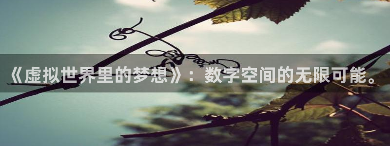 杏悦娱乐注册账号怎么注销：《虚拟世界里的梦想》：数字空间的无