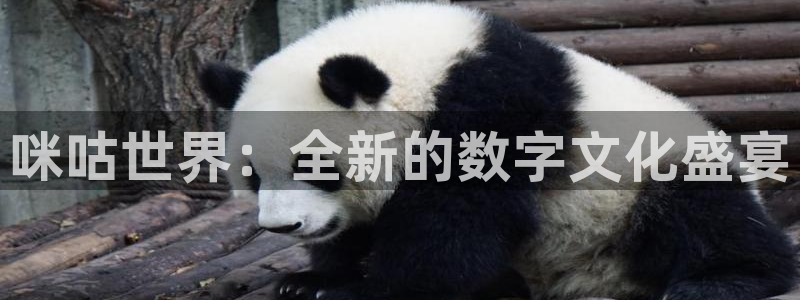 杏悦娱乐注册地址在哪里