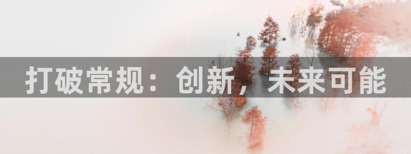 杏悦娱乐注册地址在哪里查询：打破常规：创新，未来可能
