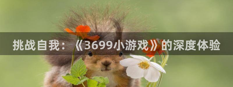 杏悦娱乐是什么app