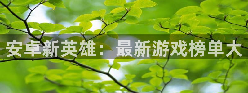 杏悦娱乐是什么平台