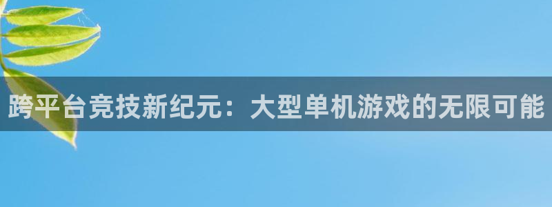 杏悦：跨平台竞技新纪元：大型单机游戏的无限可能