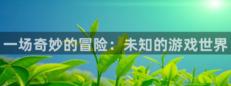 杏悦主管：一场奇妙的冒险：未知的游戏世界