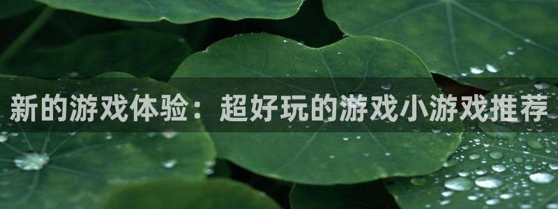 杏悦娱乐注册地址在哪里查