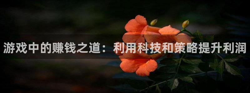 杏悦娱乐账号：游戏中的赚钱之道：利用科技和策略提升利润