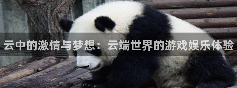 杏悦娱乐会员开户注册：云中的激情与梦想：云端世界的游戏娱乐体