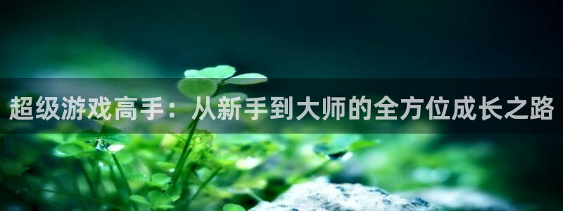 杏悦登录网址：超级游戏高手：从新手到大师的全方位成长之路