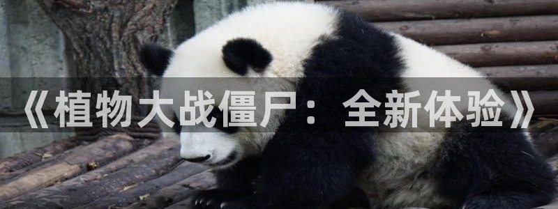 杏悦 -首选推荐平台