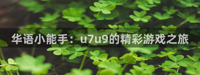杏悦娱乐登录测试：华语小能手：u7u9的精彩游戏之旅