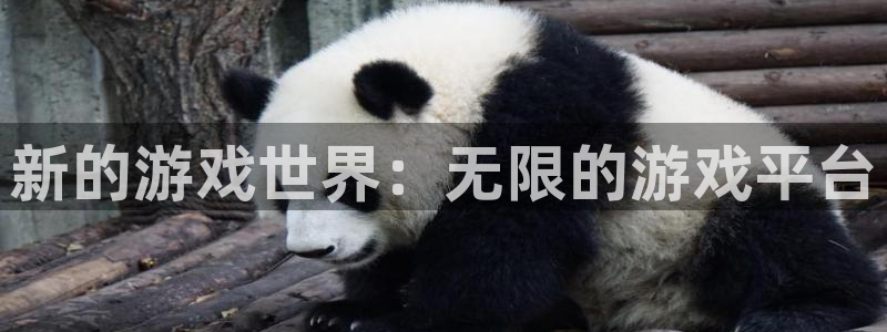 杏悦娱乐是什么app